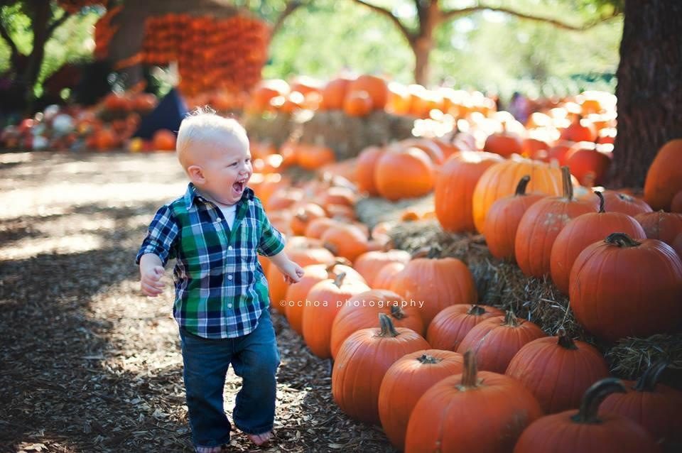A Child Walking in Front of Pumpkins